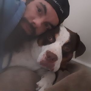 Meet your Posher, Rodney